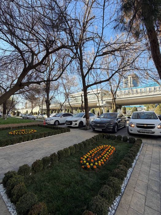 Срочная Продажа 120м2 Ц-6 ор-р: кафе "Issimo Метро Минор