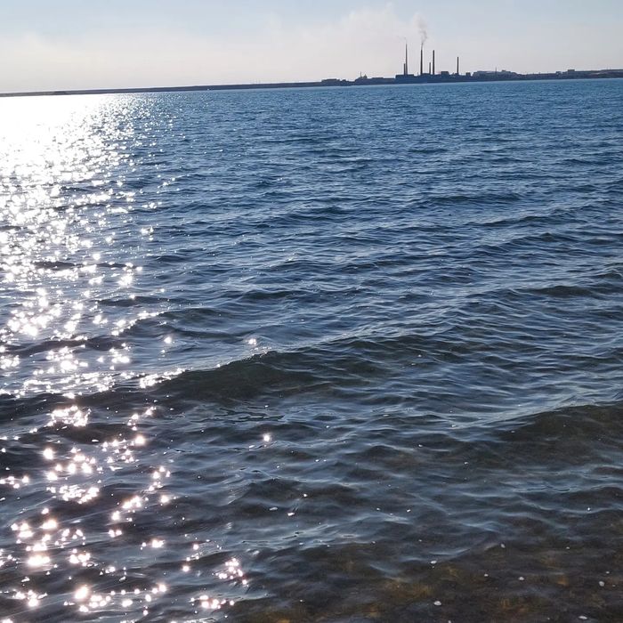 Сдаётся дача на Пригородном