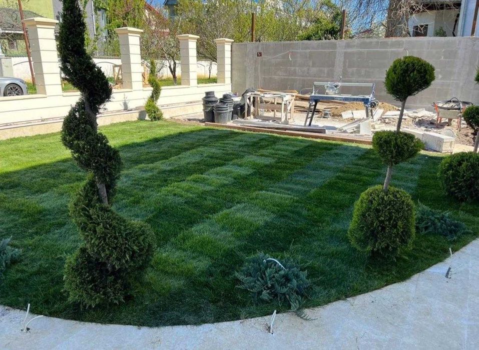 Selecție Premium de Plante pentru Design Exterior | Eco Garden