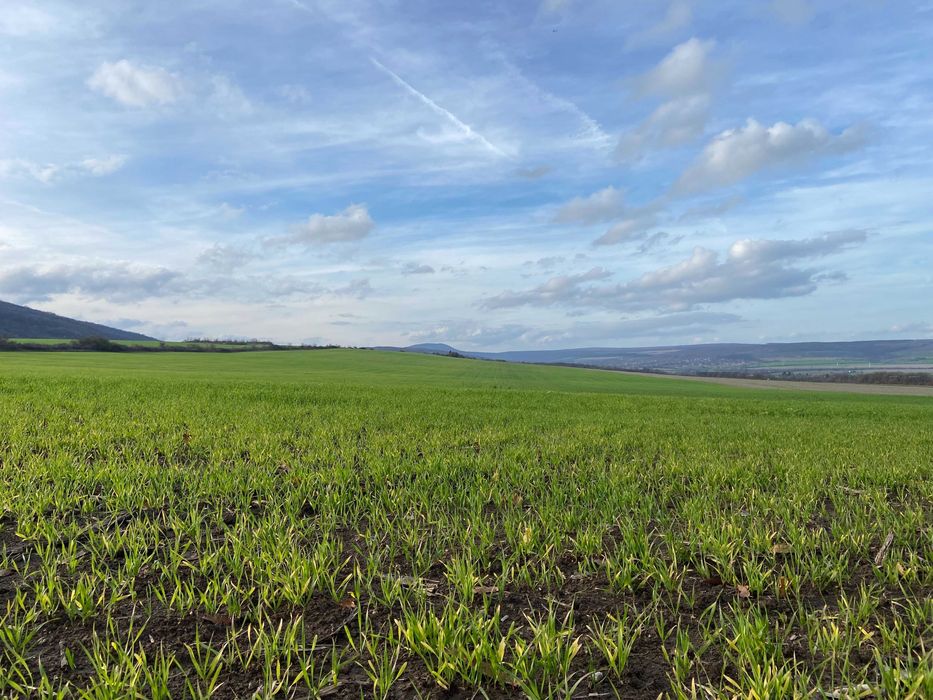 Продава се Земеделски имот в Варна, Автогара -  кв.м за 1071 €/дка - Снимка #2