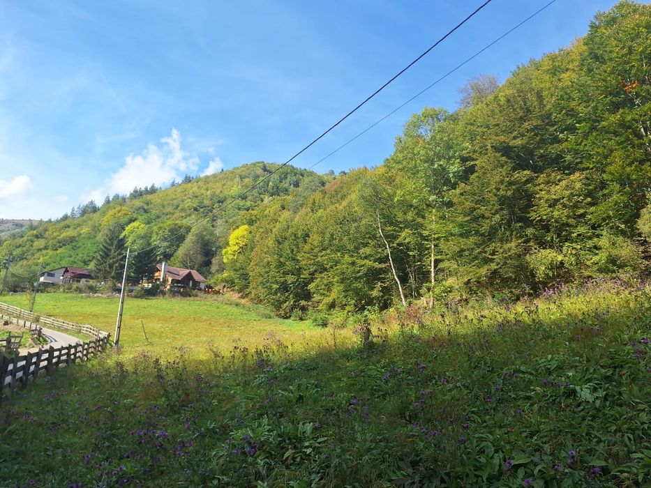 Teren de vazare in Maguri Racatau / Valea Racataului