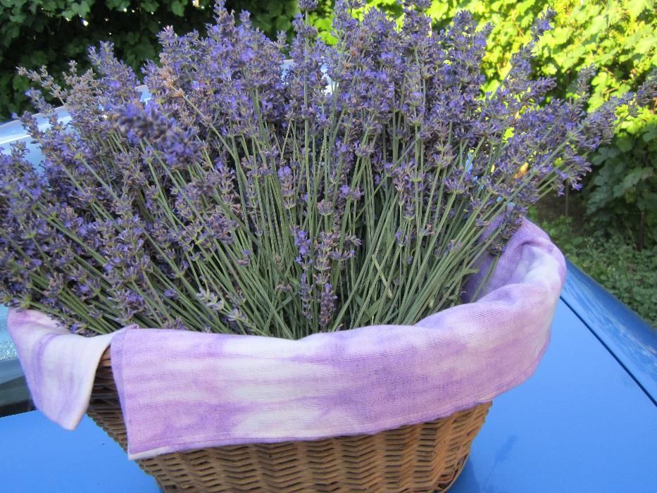 Metraj tip tercot - culoare gri deschis