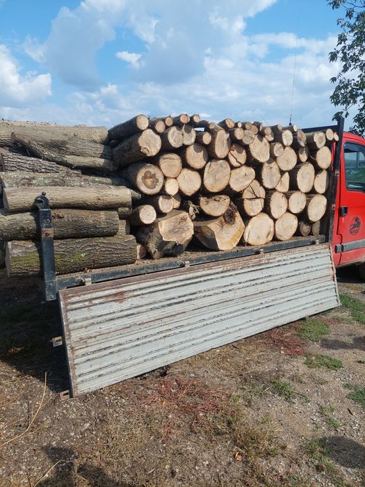 Vând lemn de foc esență tare Fag Stejar Carpen