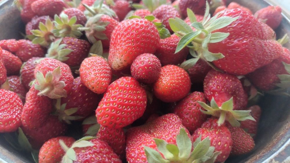 Продам ухоженную дачу