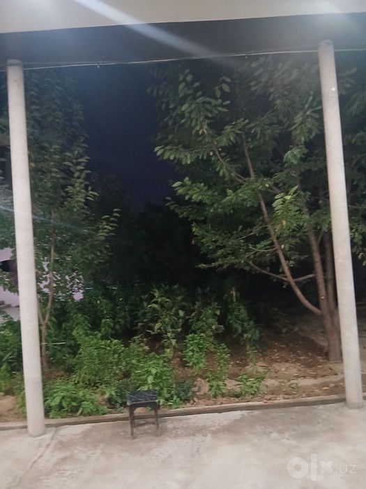 Xovli sotiladi shinam va fayzli