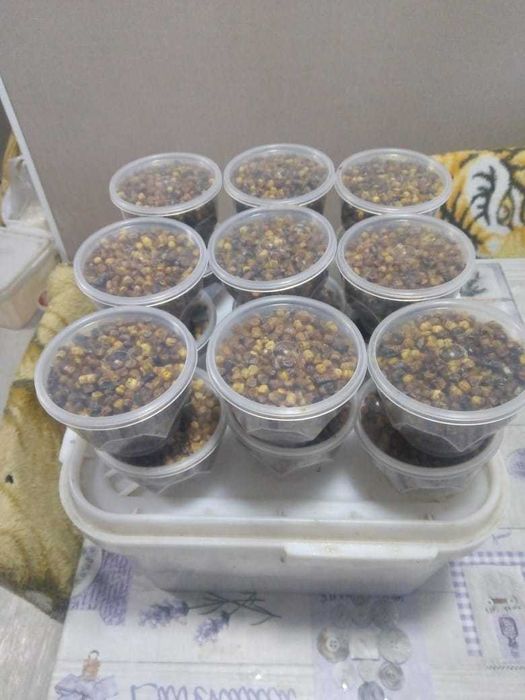 Продам мед горный