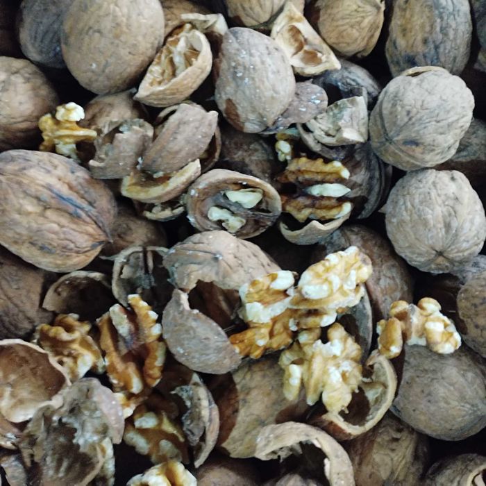 Nuca în coaja. Vând