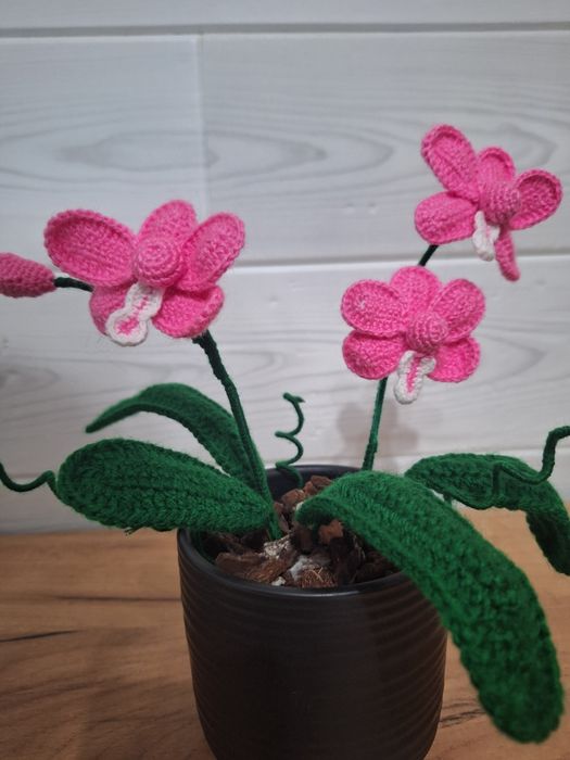 Неувяхващи орхидеи