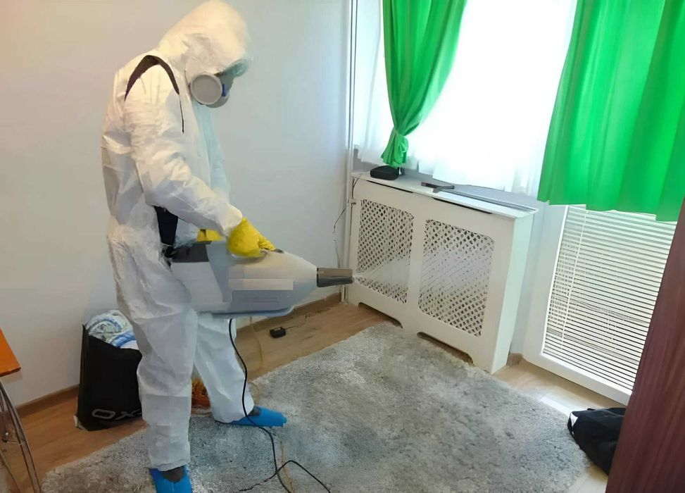 Dezinfeksiya klop дезинфекция  Уничтожение насекомых, тараканов, клоп