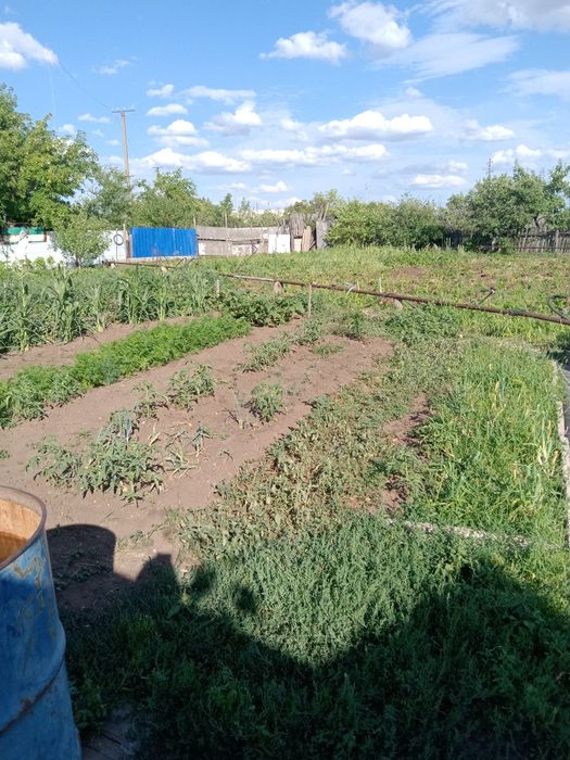 Продам дачу Энергостроитель