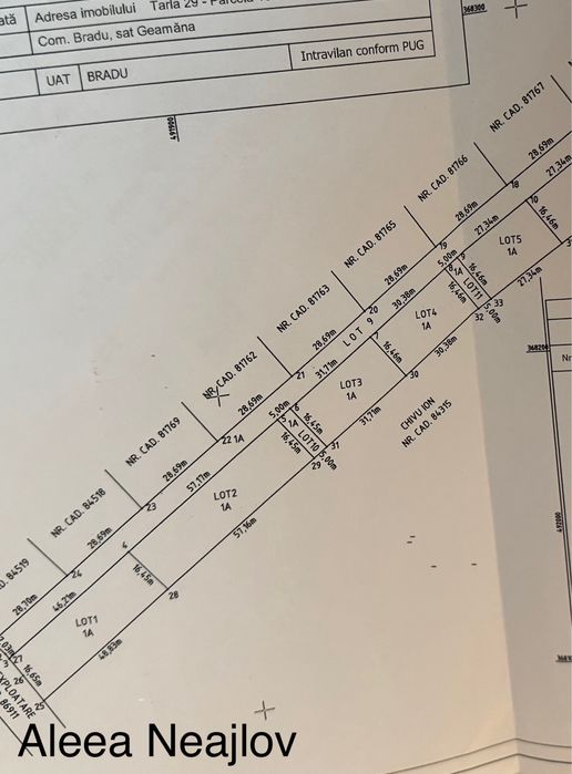 Proprietar, vand teren intravilan Bradu, aleea Neajlov, 1100mp utili