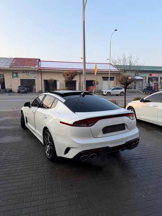 Kia Stinger 2023 Kraska Tozza Ideal