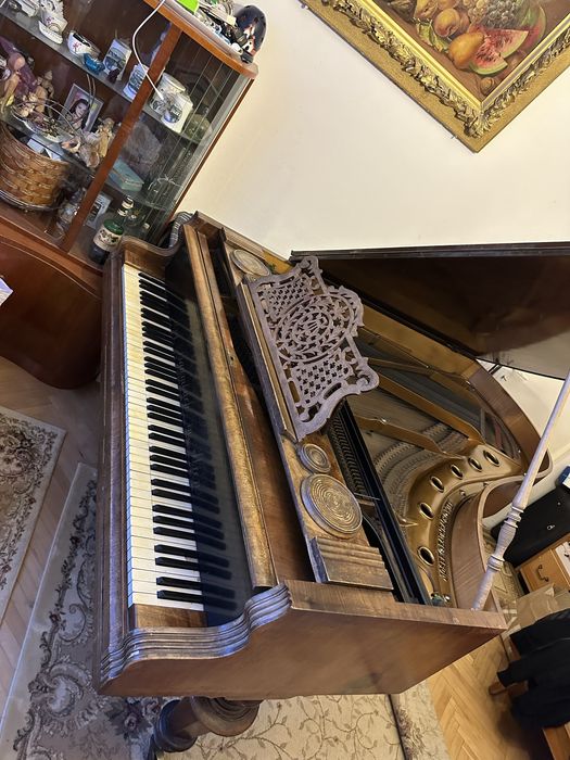 Vand pian coada lunga