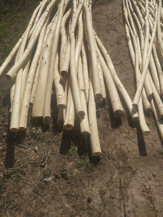 Совут хадалари сотилади ириси 25 мингдан медаси 15 мингдан