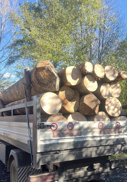 Vand lemne de fag gata taiate