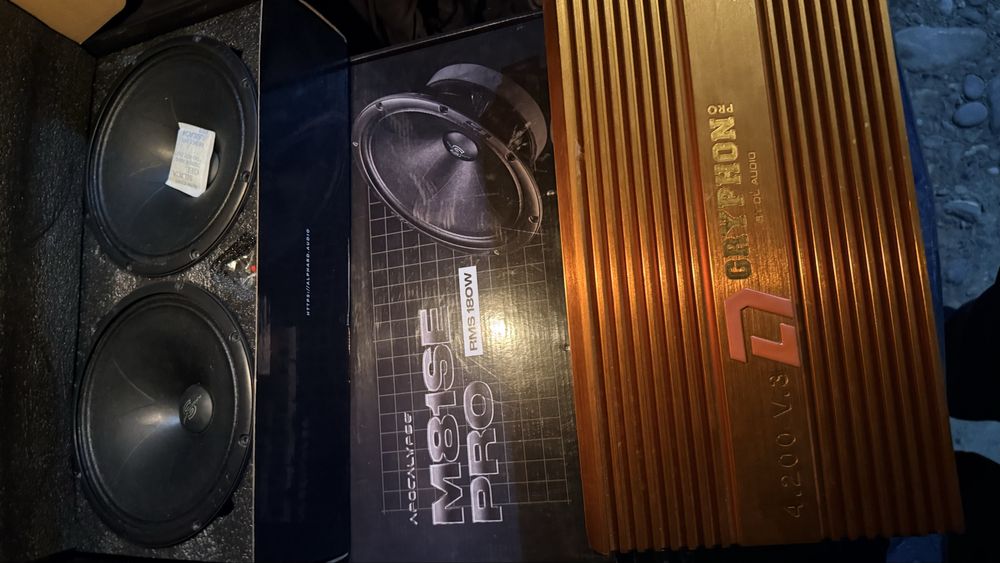 Силвестер20см.  …