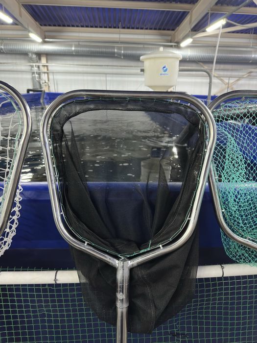 Сачки Подсачек для работы с рыбой.