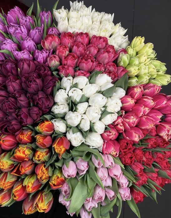 Премиальные Пионовидные Тюльпаны !!