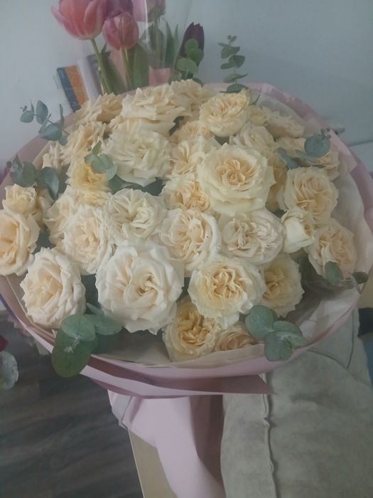 Цветы белое роза