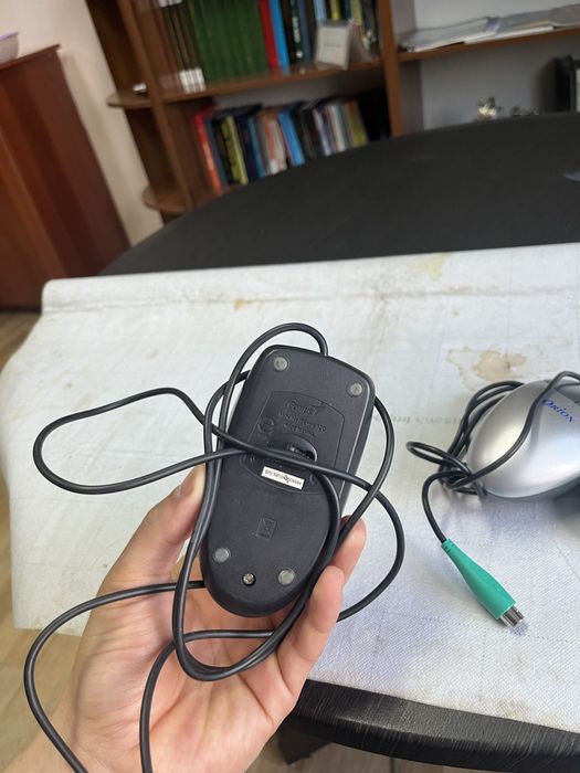 Компьютерный мышь, мышка, тінтуір