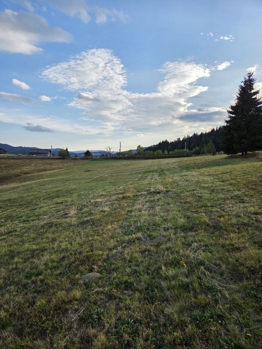 Teren Piatra Fântânele pasul Tihuta