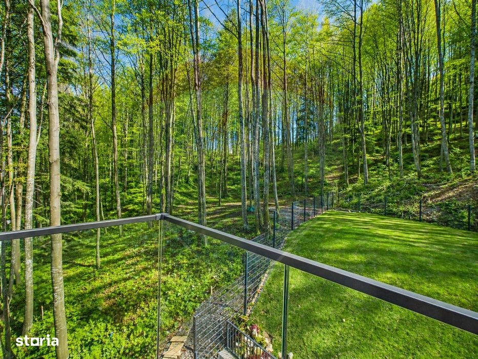 Apartament parter cu 3 camere, curte proprie in inima padurii - Sinaia
