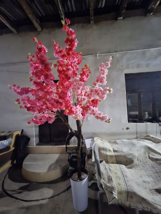 Декоративные цветы