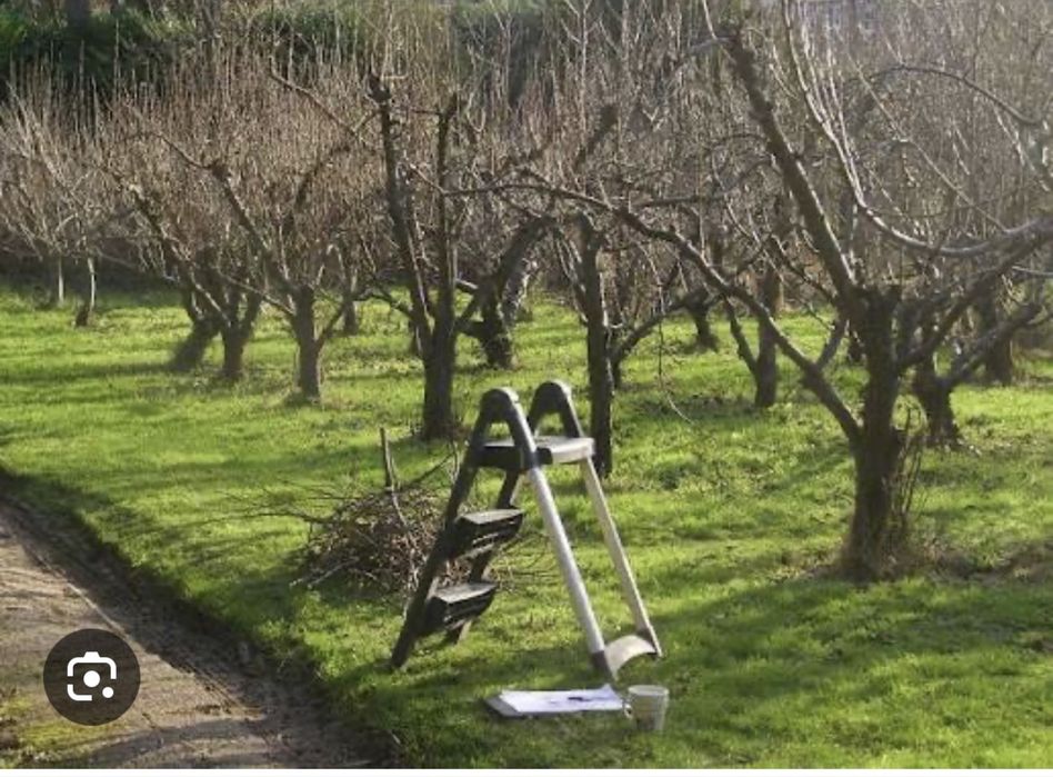 Обрезка плодовых Деревьев Яблони Грушы