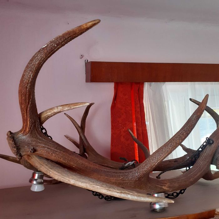 Vand lustra deosebita din coarne de cerb,