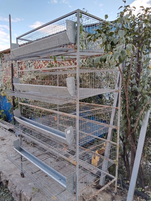 Клетка для перепелов на 160 голов