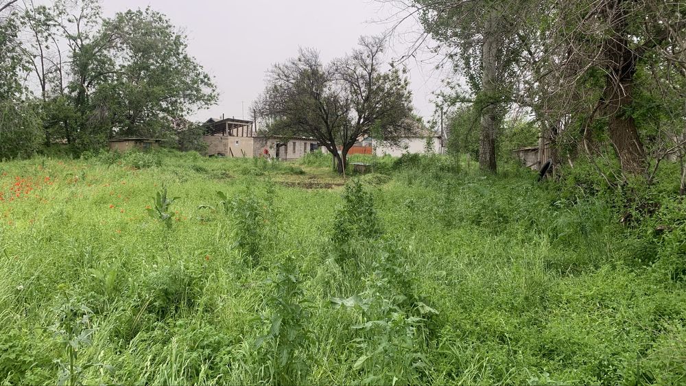 Дом или дача продам срочно