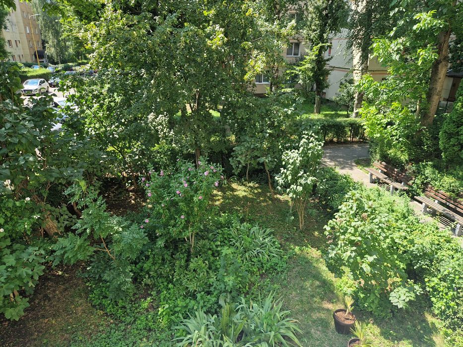 Apartament mobilat Astra-L.C. Babeș