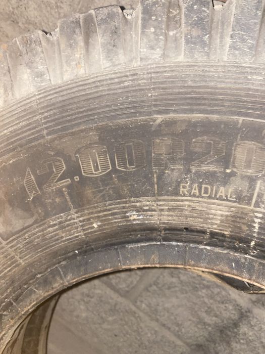 Продам шины недорого