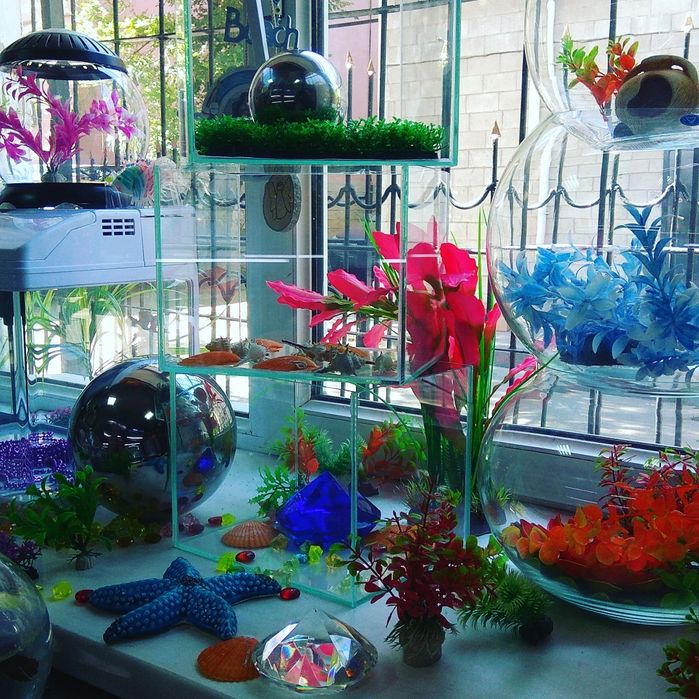 Аквариум круглый в Афалине.навои торайгырова