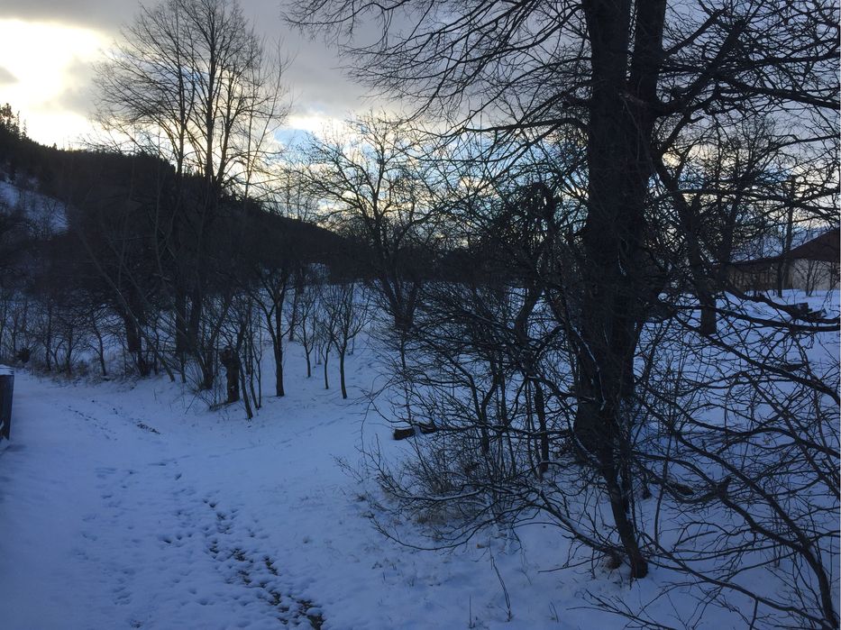 Teren intravilan