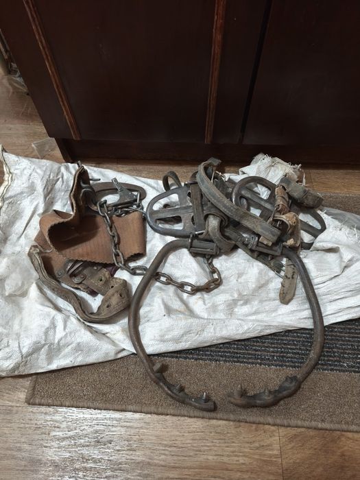 Когти 15000 тыс.