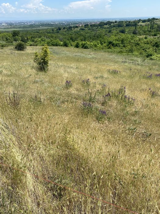 Земеделска земя Белащица/Марково