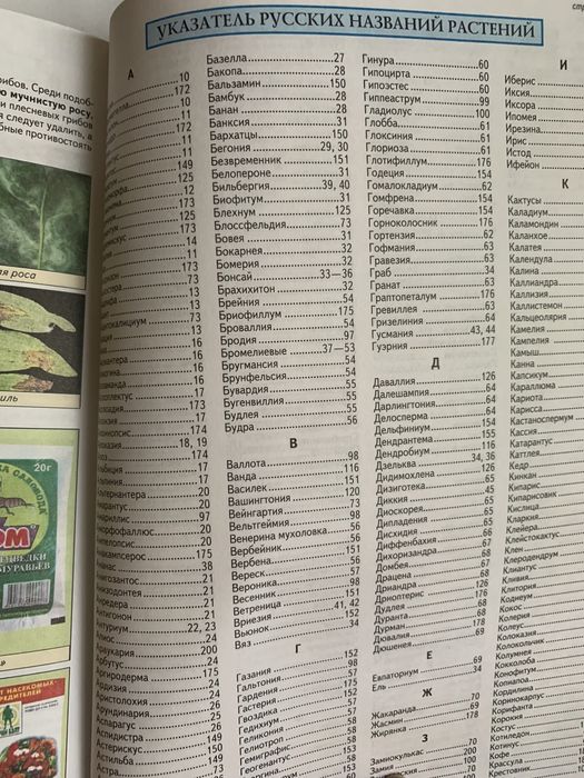 Все о комнатных растениях