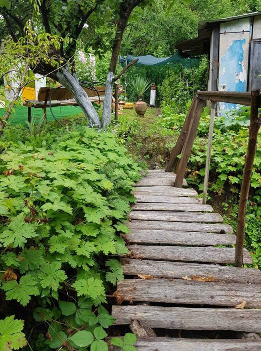 Продава се Къща в с. Бели Осъм, Област Ловеч - 280 кв.м за 251 €/кв.м - Снимка #19