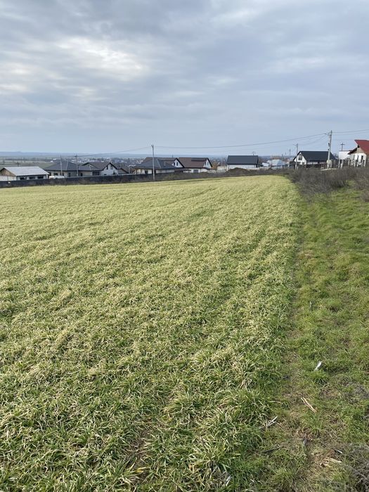 Teren INTRAVILAN Branistea GALATI 5000 m2