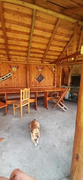 Casa Gigi Lupoiu – cazare Moeciu , confort & natură în Moieciu de Sus