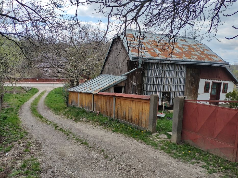 Teren  intravilan de vânzare – Ipotești, Suceava | 
Oportunitate excelentă pentru construcția unei case, cabane sau