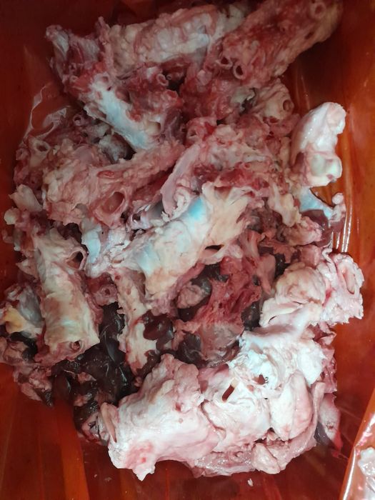 Корм для собак говядина