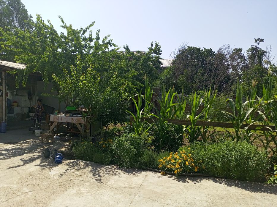 Ҳовли сотилади 6 сотих тўғри тўрт бурчак 5 та хона ремонти ўрта кириб