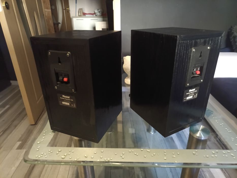 Magnat monitor supreme 100