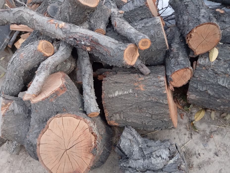 Утин сотилади Эгасини номер на телефон килинг