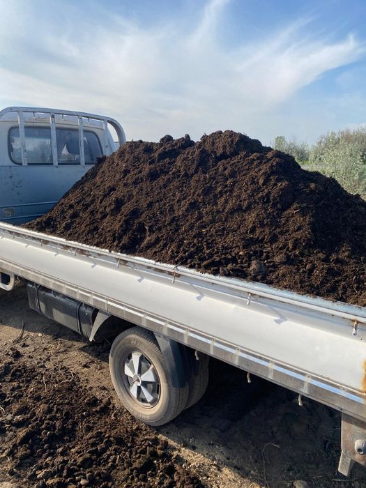 Чернозем, перегной