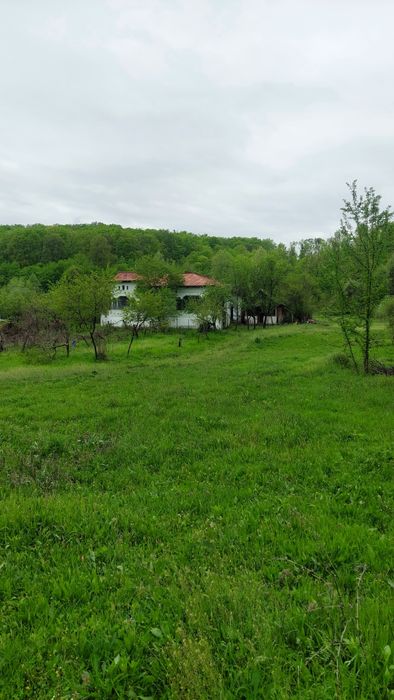 Casa + 9800 mp teren, Cotmeana -Arges, zona verde, potential turistic