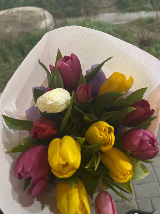 Тюльпаны в количестве 30 штук