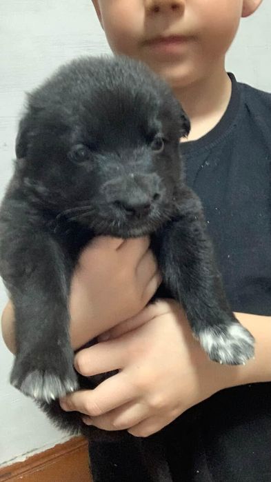 Спасённые малышки